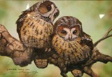 Artist