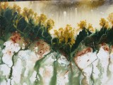 Artist