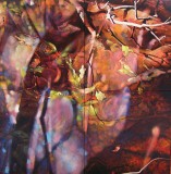Artist