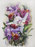 Artist