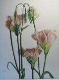 Artist