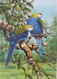 Artist