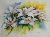 Artist
